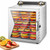 Dehydrator Machine, Food Dehydrator
