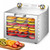 Commercial Food Dehydrator, Fruit & Meat Dryer
