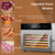 Food Dehydrator Machine with 6 Stackable Stainless Steel Trays, 24H Timer & Temp Control, Electric Food Dryer for Jerky & Fruits