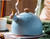 Stovetop Teapot For Home And Restaurant Stainless Steel Whistling Kettle Hot Water Boiler Kitchen Stovetop Tea Teapot