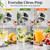 Manual Citrus Juicer Press, Aluminum Lemon Squeezer