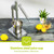 Manual Citrus Juicer, Stainless Steel Hand Press with Lever Design