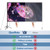 Qoolfoto Projector Screen with Stand 150in Portable Outdoor Movie Screen