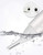 Feilx Electric Eyebrow Trimmer Painless Eye Brow Epilator for Women Makeup Mini Razors Portable Facial Hair Removal Shaver