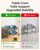ALVORENZA 2-Tier Expandable Metal Shoe Rack for Closet & Entryway