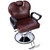 Neojoyoenix Hair Stylist All Purpose Barber Chair for Barbershop, Brown