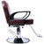 Neojoyoenix Hair Stylist All Purpose Barber Chair for Barbershop, Brown