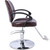 Hair Salon Chair Styling Heavy Duty Hydraulic Pump Barber Chair Beauty Shampoo Barbering Chair for Hair Stylist Women Man,with Barber Cape (Brown)
