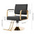 Dziwenul 4PCS Swivel Styling Salon Chair with Hydraulic Pump, Gold + Black