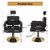 Portable Salon Chair for Hair Stylist, Hydraulic Barber Chair 360 Degree Swivel with Pump, Hair Cutting Chair, Beauty Salon Equipment for Salon Barbershop,Reclining Shampoo Chair (Matte Black)