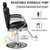 Salon Chair for Hair Stylist, Barber Salon Chairs Hydraulic, Heavy