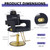 LUXMARS Reclining Professional Salon Barber Chair,Hair Chair for Stylist with Heavy Duty Hydraulic Pump,Height Adjustable,360° Swivel Styling Chair for Barbershop,Home,Salon (Black and Gold)