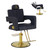 LUXMARS Reclining Professional Salon Barber Chair,Hair Chair for Stylist with Heavy Duty Hydraulic Pump,Height Adjustable,360° Swivel Styling Chair for Barbershop,Home,Salon (Black and Gold)