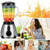 Blender for Smoothies Seasoning Maker Processor with Removable Glass Cup