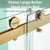 Double Sliding Shower Door 56-60 in.W x 76 in.H, 5/16" Glass, Brushed Gold