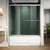 ELEGANT 58 1/2 in.- 60 in.W x 62 in. H Bypass Sliding Tub Shower Doors with 1/4 in. Clear Glass, Tub Glass Shower Door, Brushed Nickel Finish
