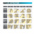 Tion 3/4 Ceramic Ionic Hot Curl Heat Roller Brush