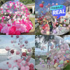 Bubble House inflable seguro