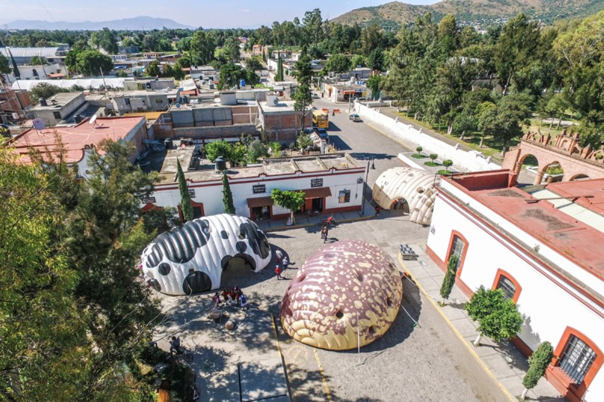Crean museo inflable en México, con forma de fríjol
