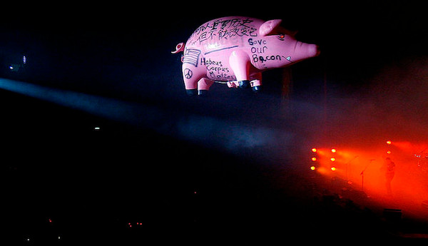  Pink Floyd y Algie su mítico cerdo inflable 