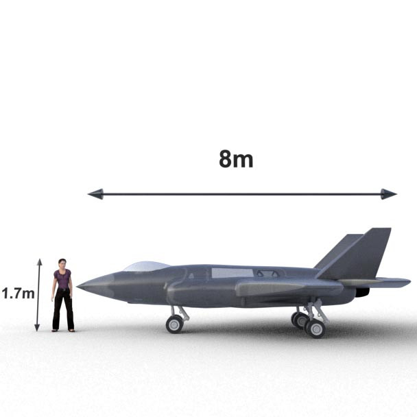 Avión inflable F-35