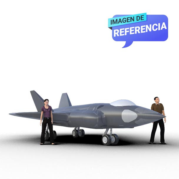 Avión inflable F-35