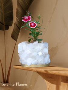 Selenite Planter