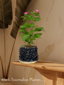 Black Tourmaline Planter Black Tourmaline Planter