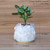 Clear Quartz Planter