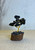 Black Tourmaline Miniature Tree