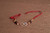 Rakhi for Mental Emotional Strength (Roli+Chawal)