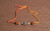 Rakhi for Education (Roli+Chawal)