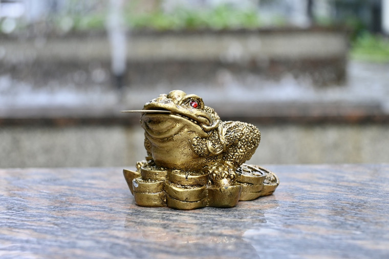 Frog on Coins