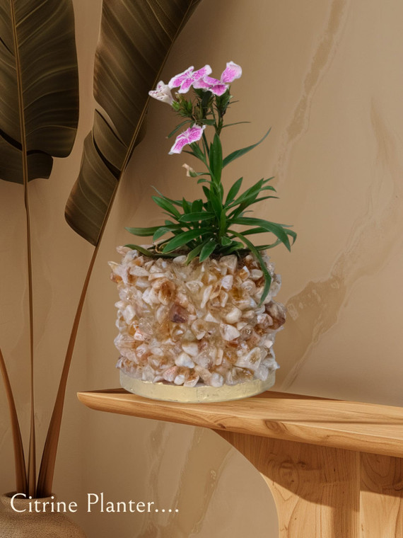 Citrine Planter