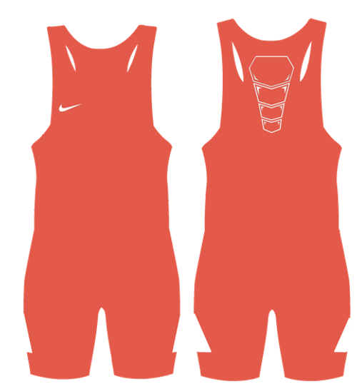 nike ng1 swimsuit
