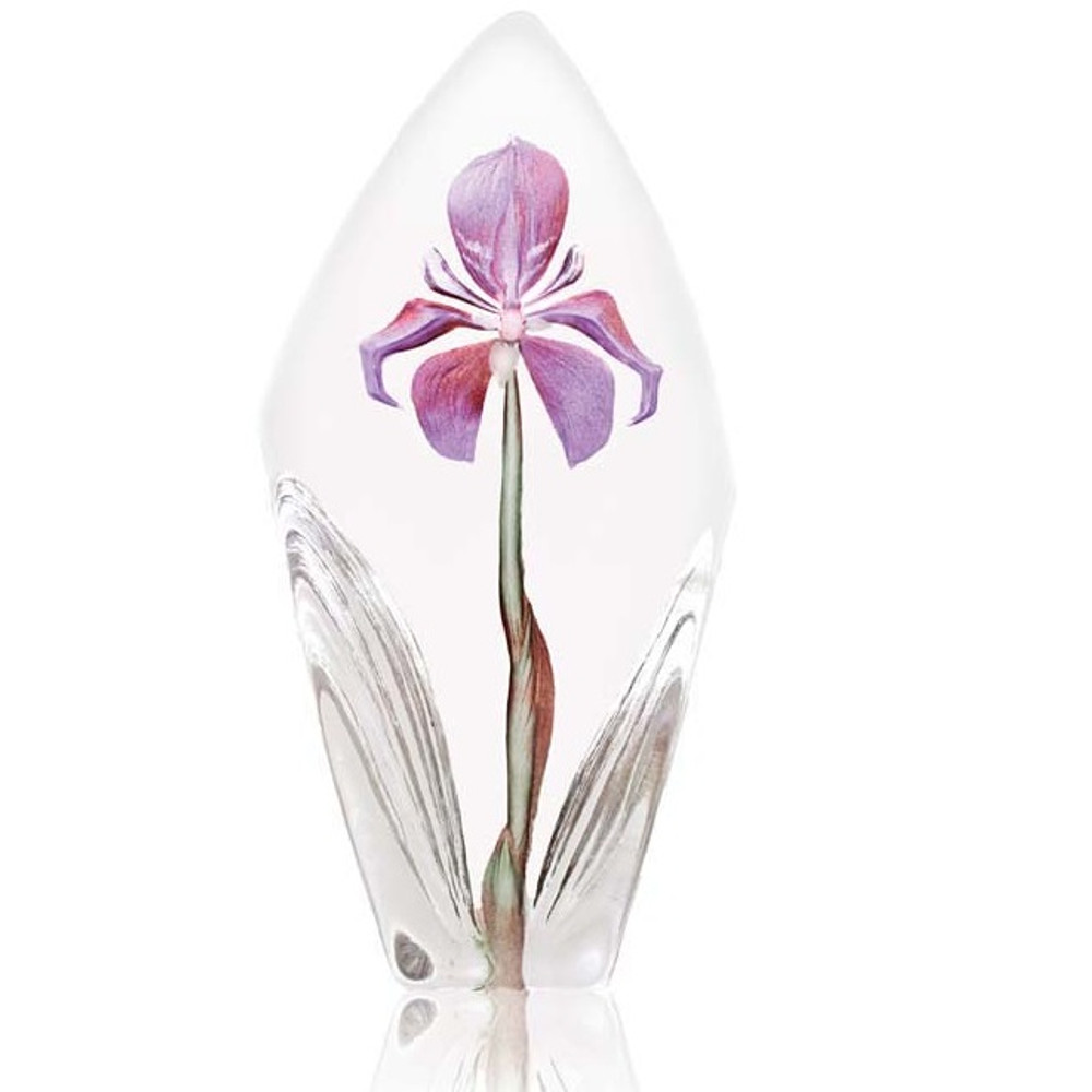 Acarena Purple Flower Crystal Sculpture | 34023 | Mats Jonasson Maleras