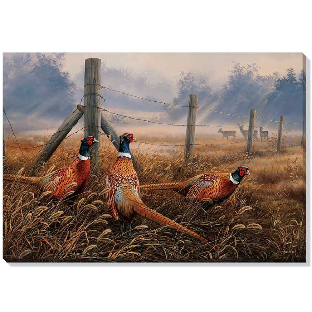 Pheasant Canvas Wall Art | Wild Wings | F593492619