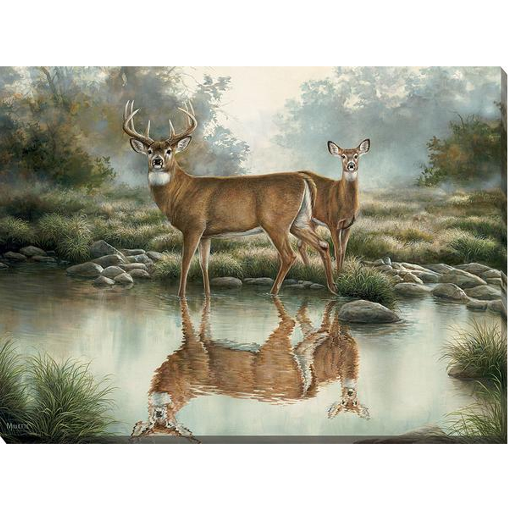 Whitetail Deer Canvas Wall Art "Tranquil Waters" | F593744165