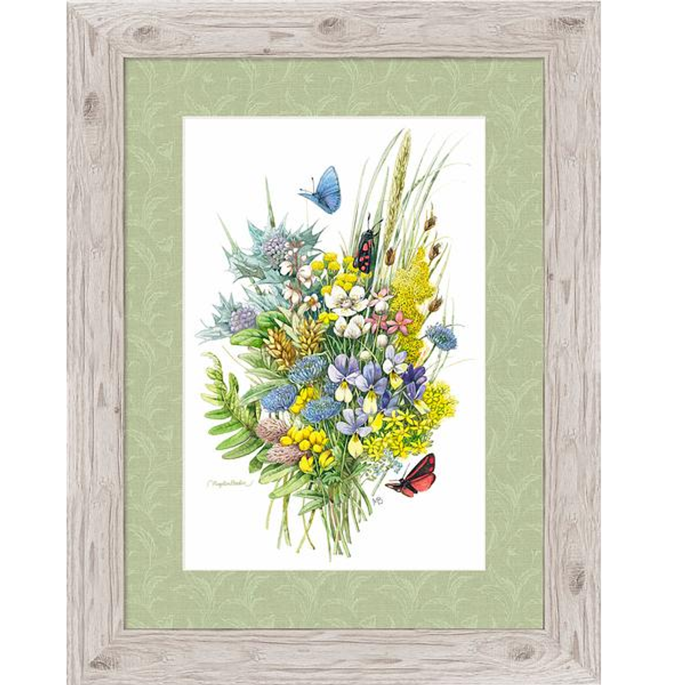 Butterfly Framed Print "Wildflower Riches" | F058930090