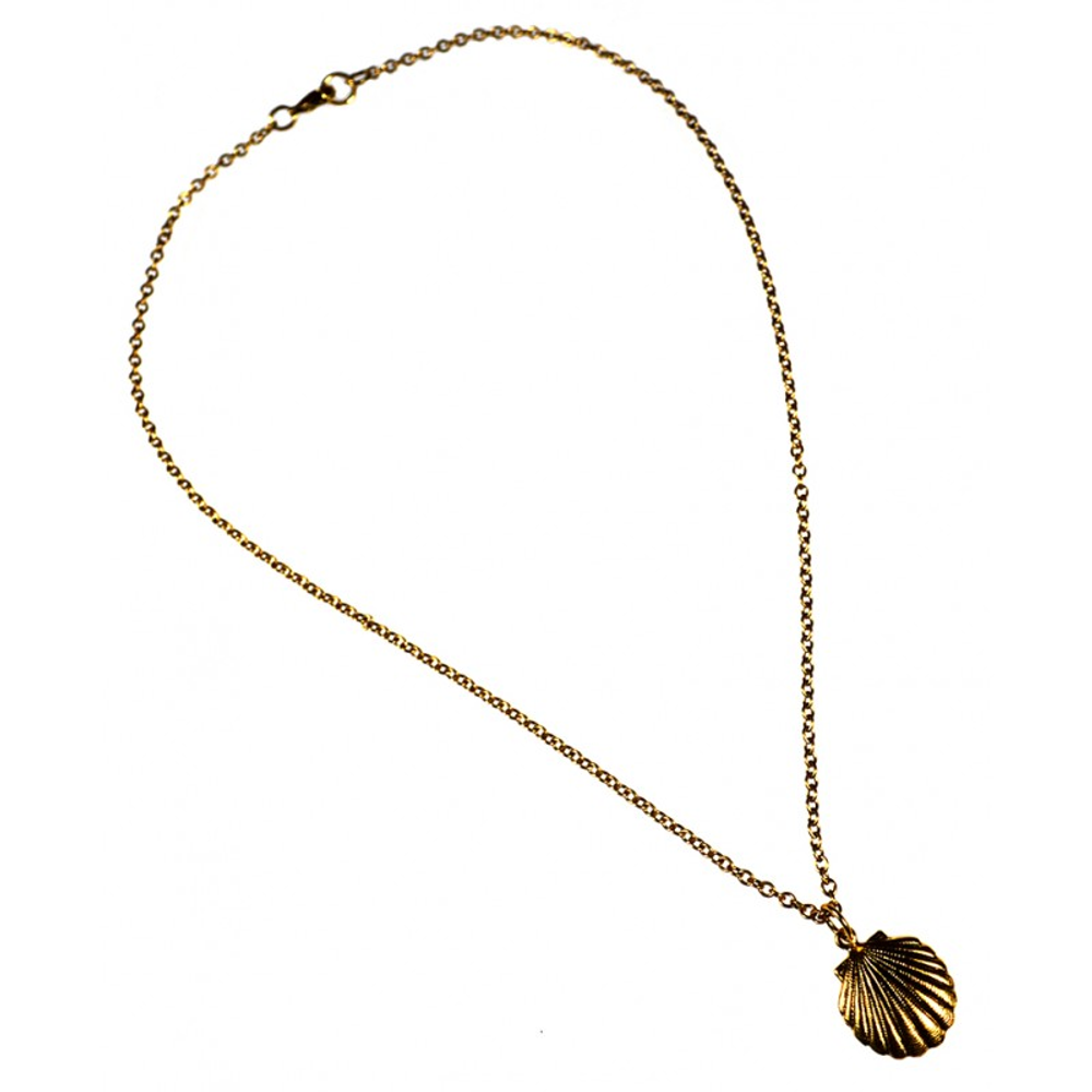 Scallop Shell Antique Gold Brass Pendant Necklace | Elaine Coyne Jewelry | ECGOCG485PDCH