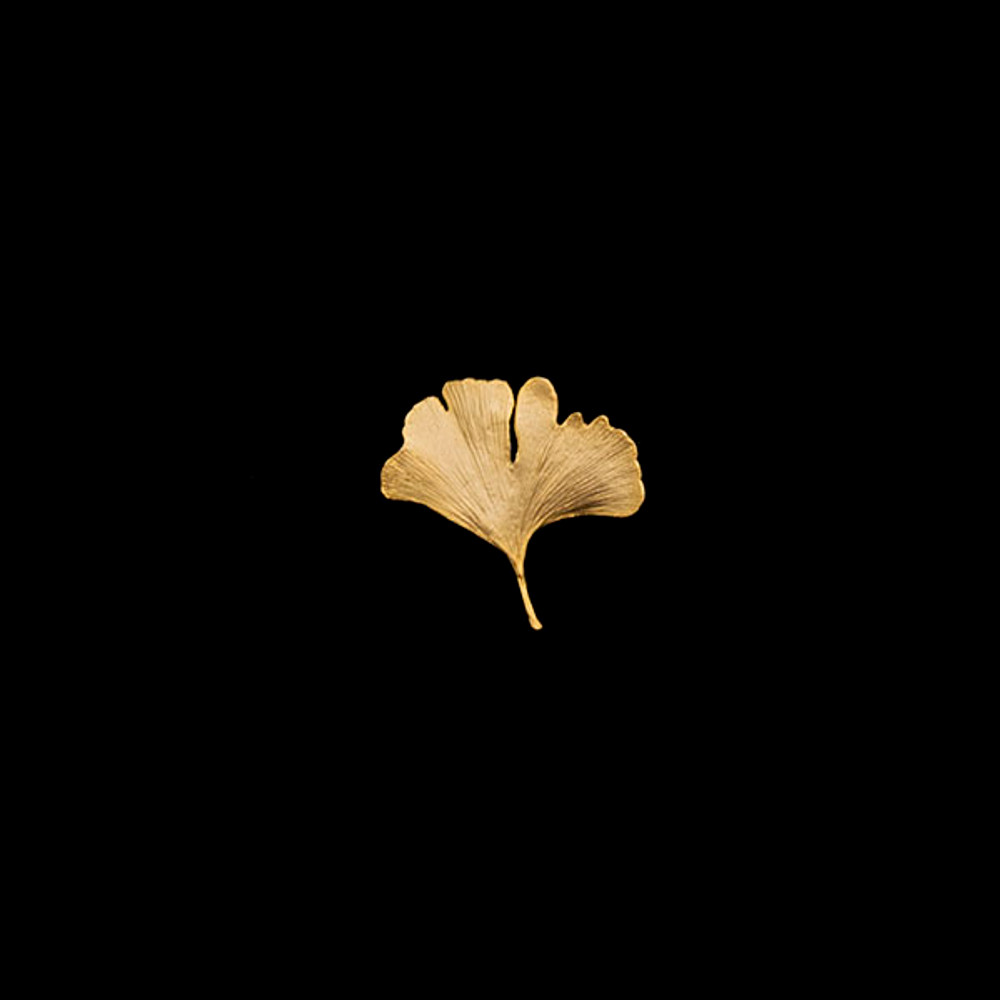 Ginkgo Leaf Gold Pin | Michael Michaud | 5534V | Nature Jewelry 