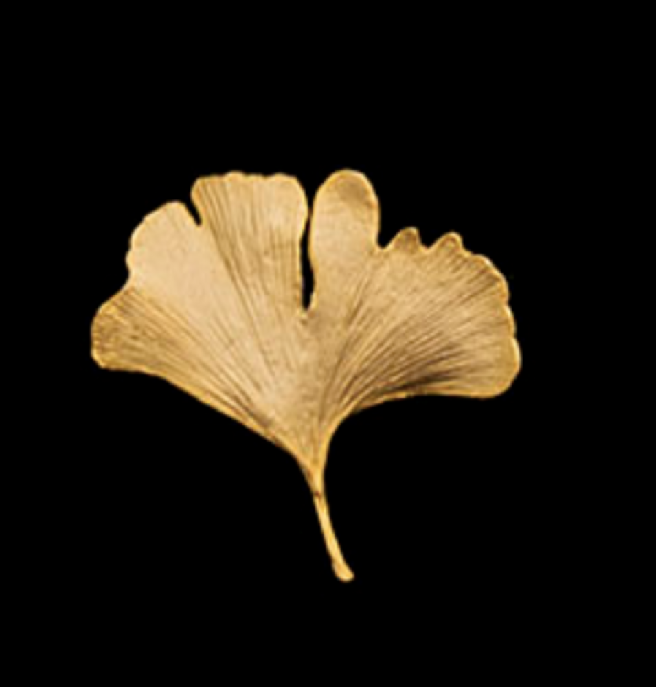Ginkgo Leaf Gold Pin | Michael Michaud | 5534V | Nature Jewelry 