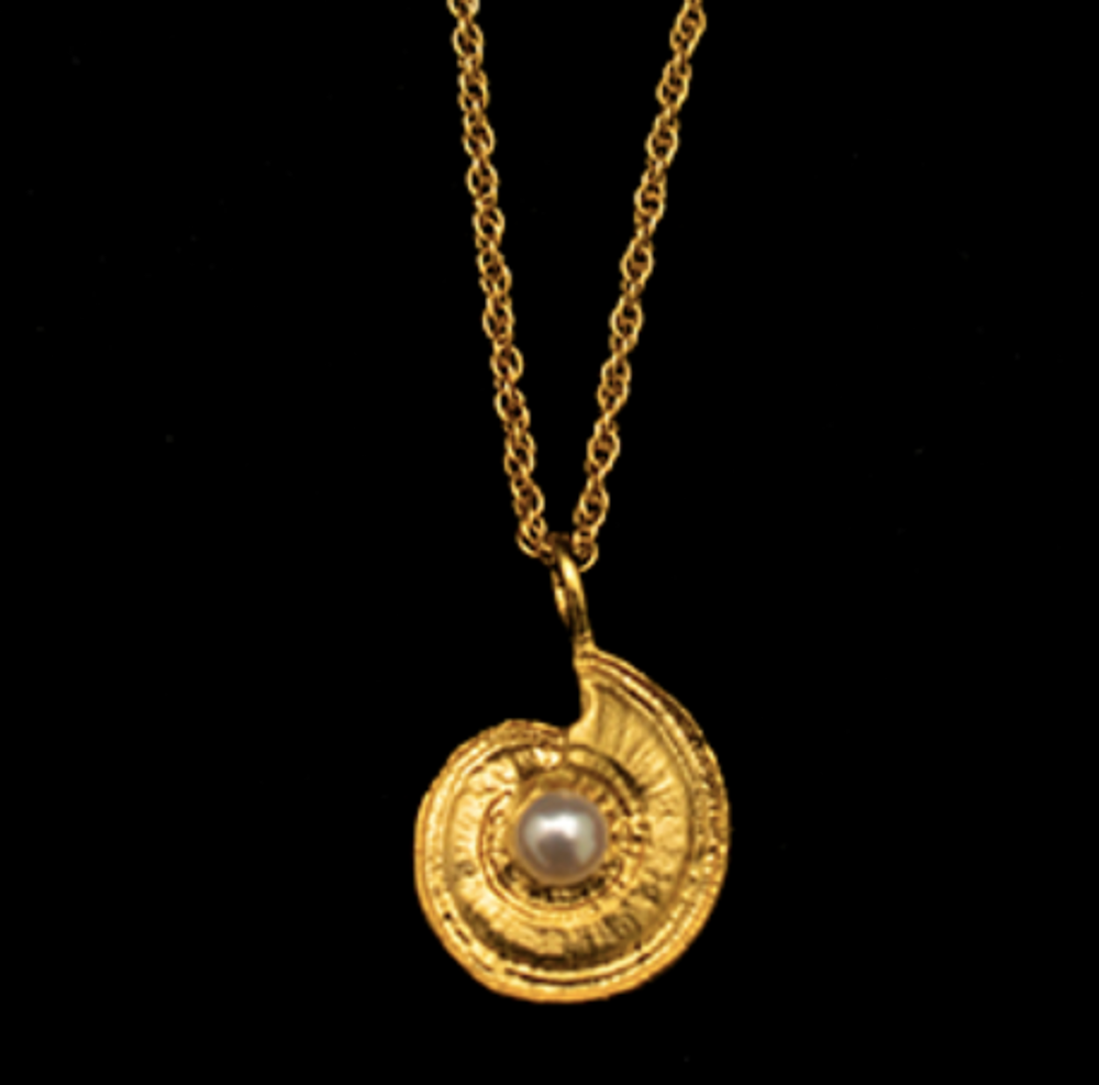 Nautilus Shell 16" Adjustable Gold Pendant Necklace | Michael Michaud | RD815V | Nature Jewelry 