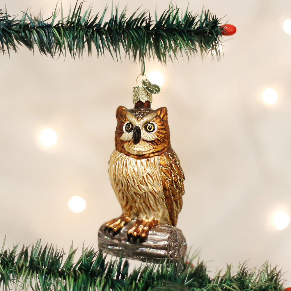 Wise Old Owl Glass Ornament | OWC16019