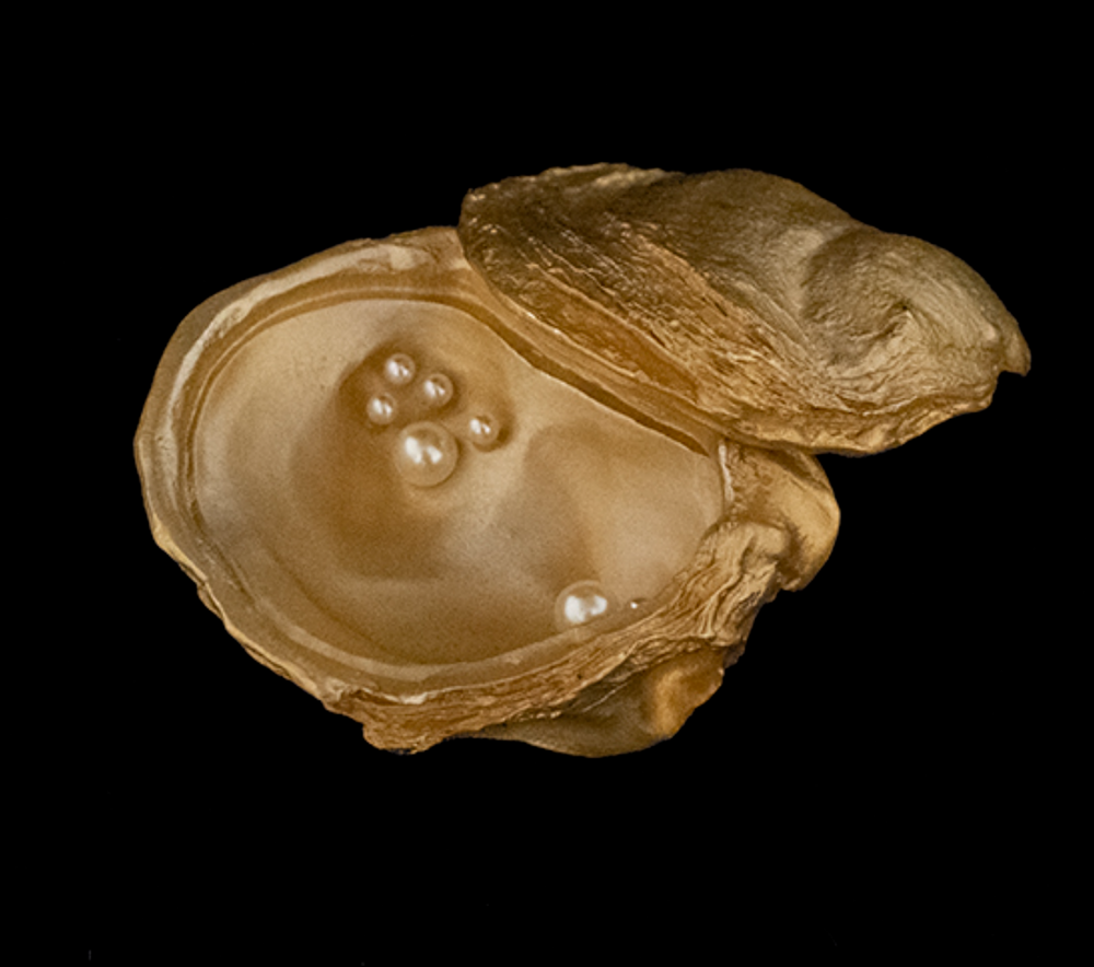 Oyster with Pearls Box