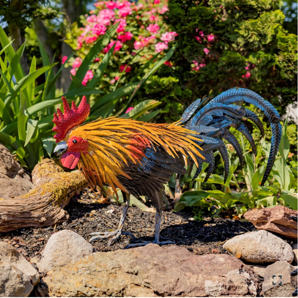 Maxwell Rooster Iron Garden Statue | Zaer International | ZR220905