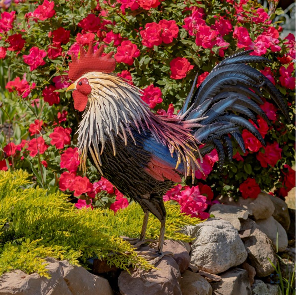 Chester Rooster Iron Garden Statue | Zaer International | ZR220901