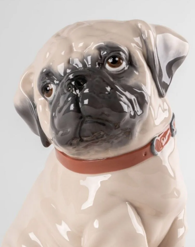 Puppy Pug Porcelain Figurine | Lladro | LLA01009689