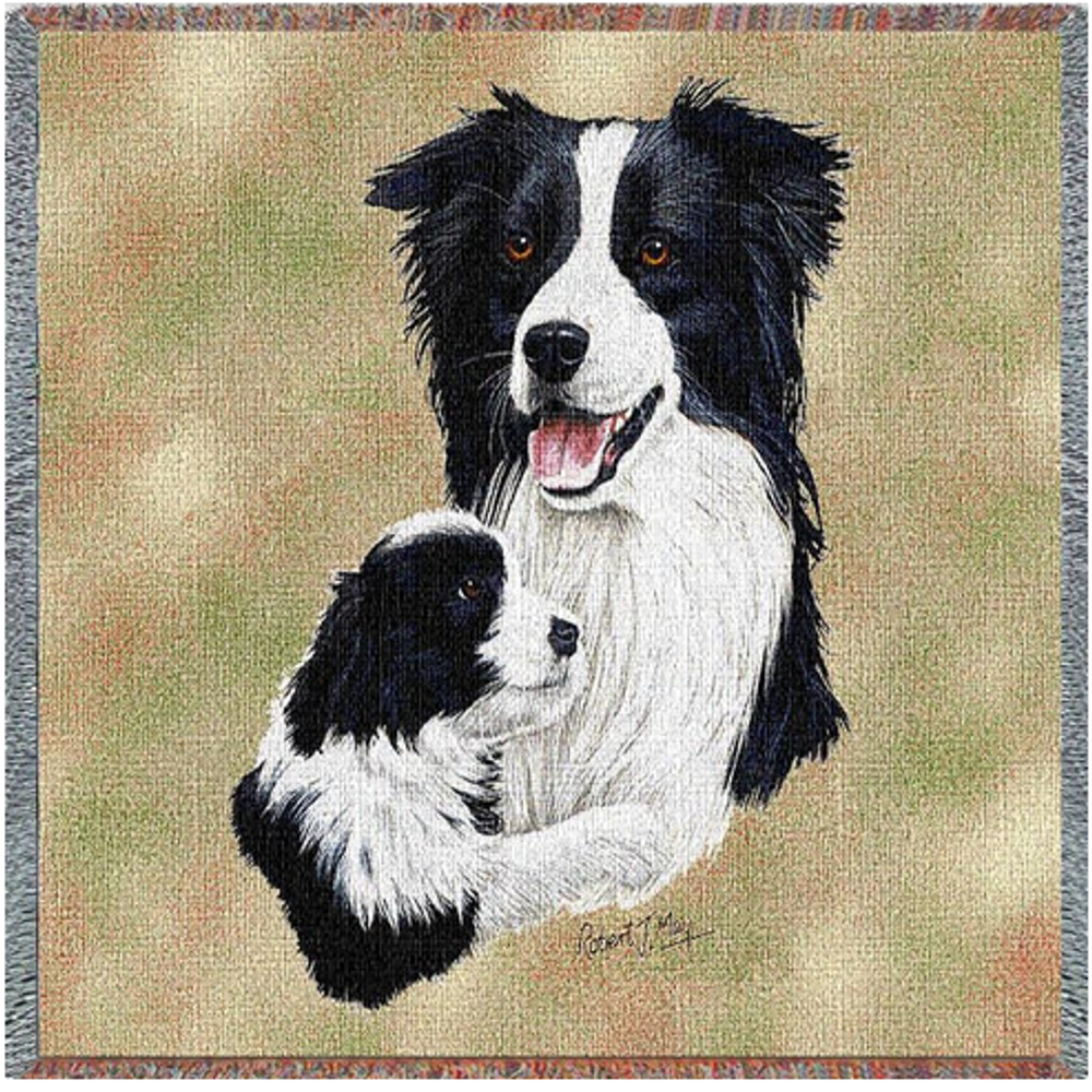 Border Collie With Puppy Cotton Throw Blanket | 1202-LS