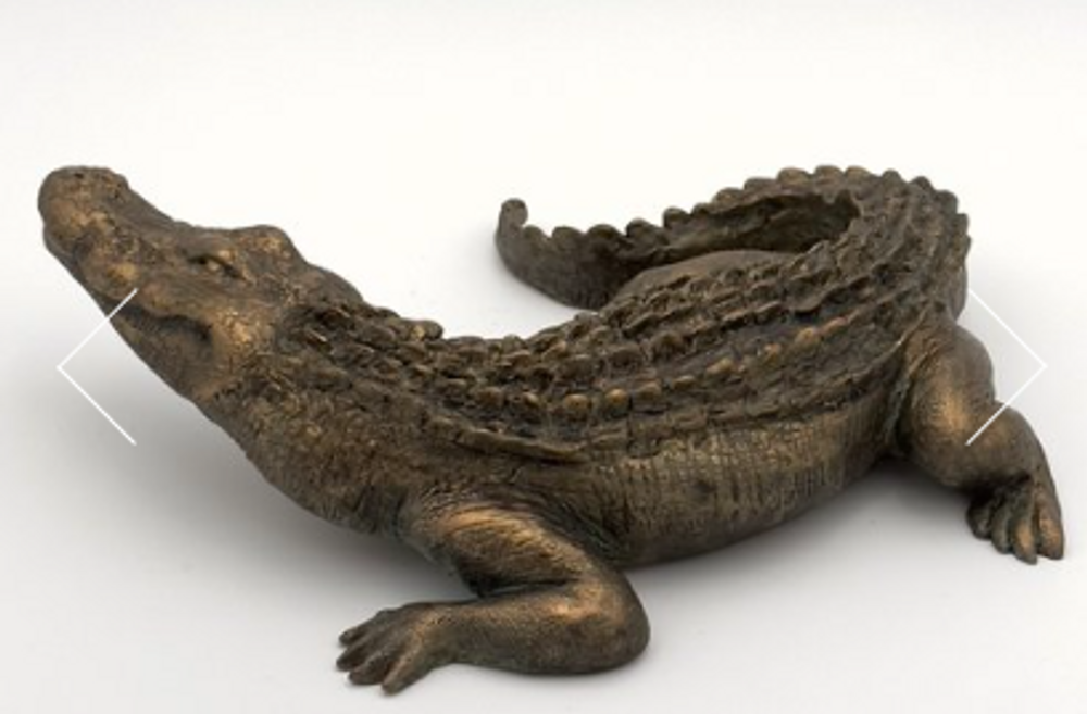  Alligator Sculpture "I'm Ready" | BRWL2251